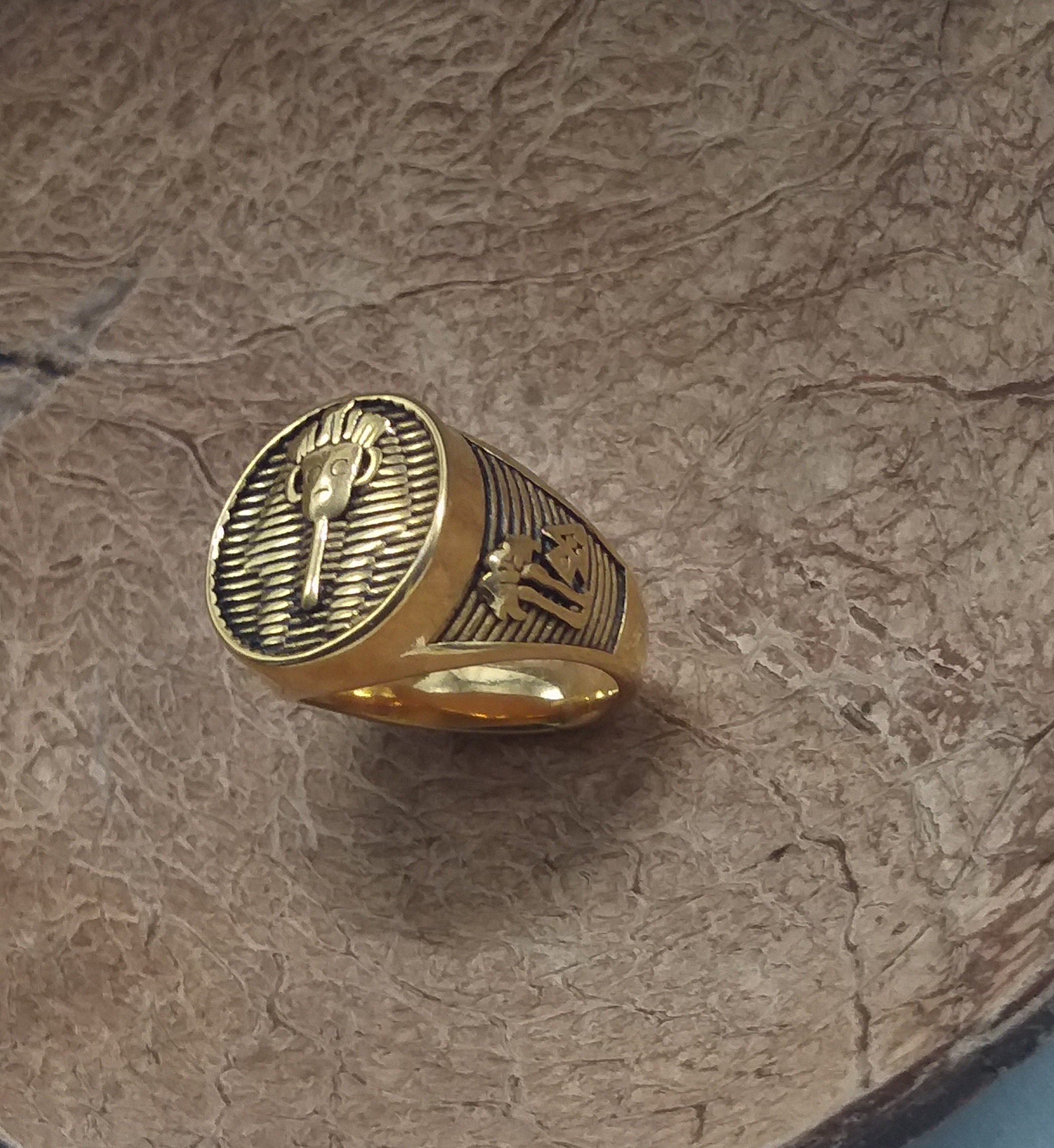 Men's Stainless Steel Egyptian Pharaoh Lion Head Ring - Silver Black Finish - View #5
